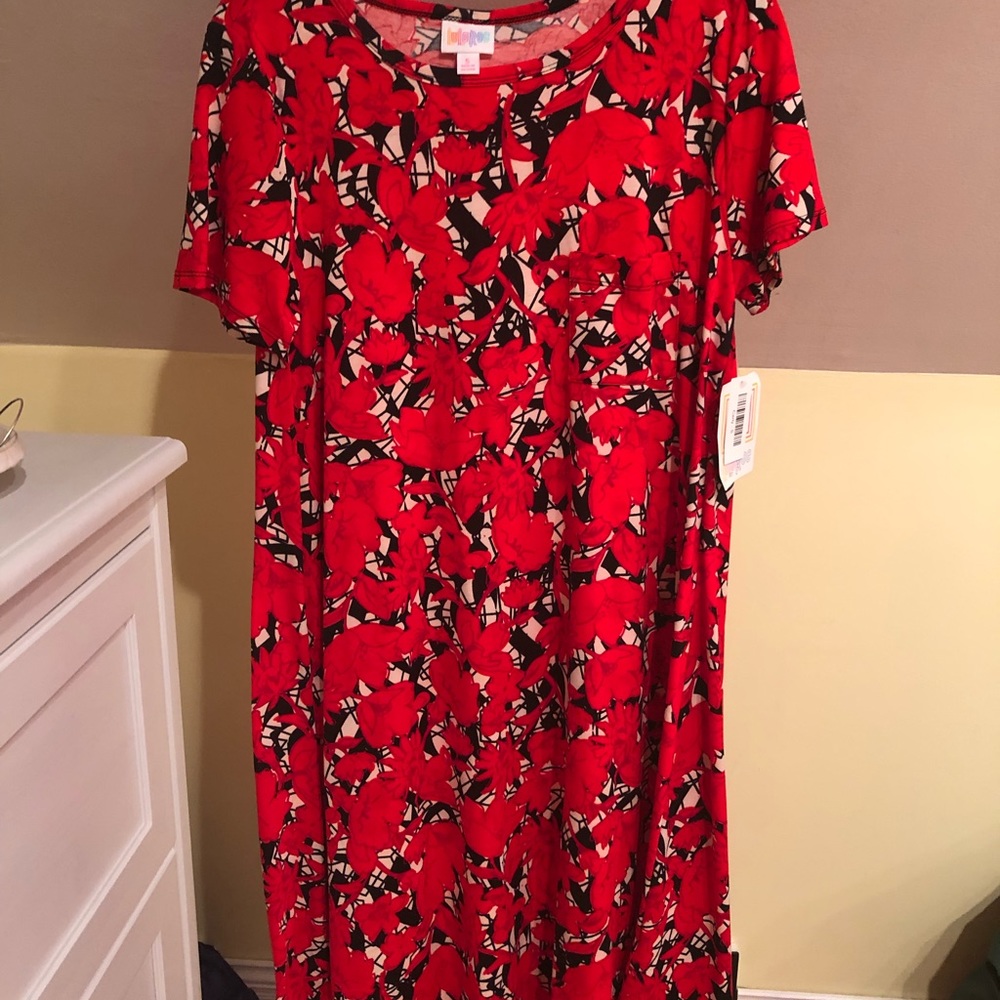 LulaRoe Carly Dress